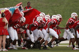 九游app官方下载-中超球队备战训练强度升级，中超各队预备队大名单